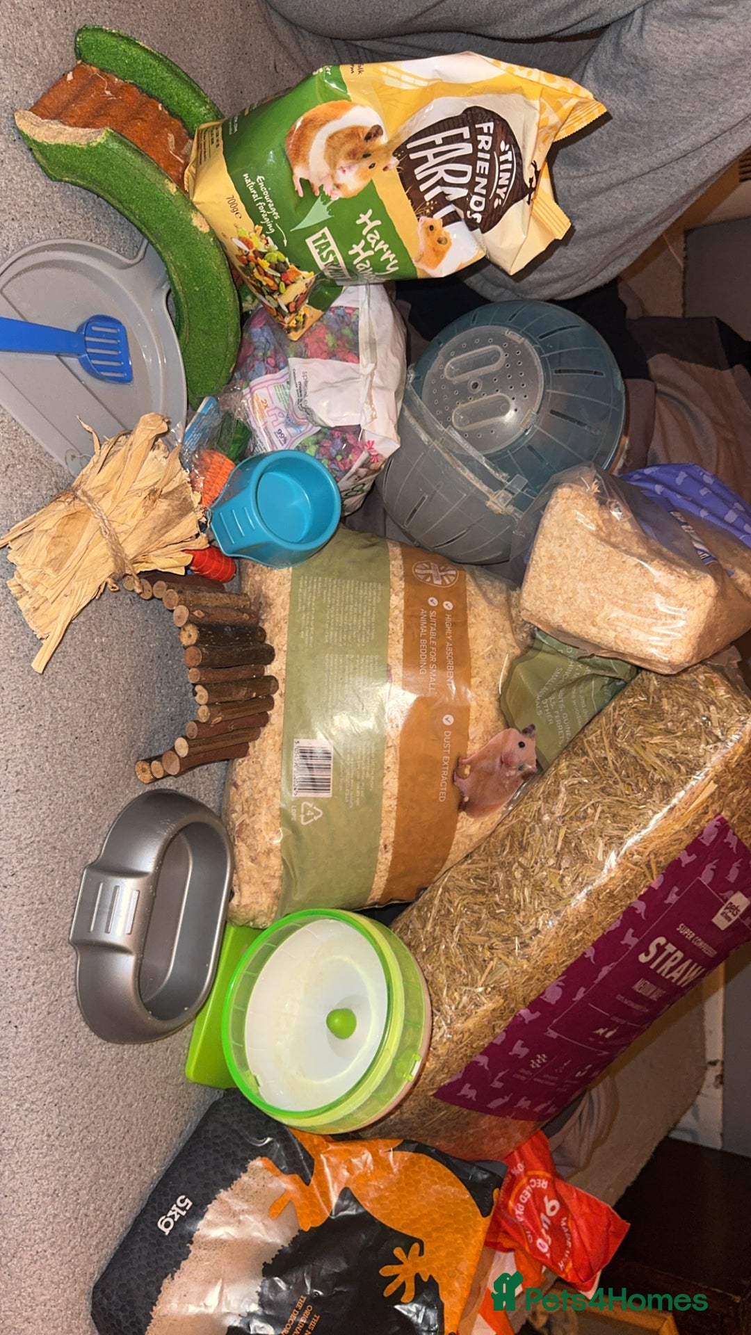 Hamster rodents for sale: Hamster cage - Advert 1