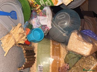 Hamster rodents Hamster cage - Advert 21