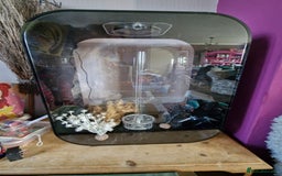 Other/Mixed Breed fish for sale: BNIB BiOrb Life 60L Tank with Accessories  - Image 2