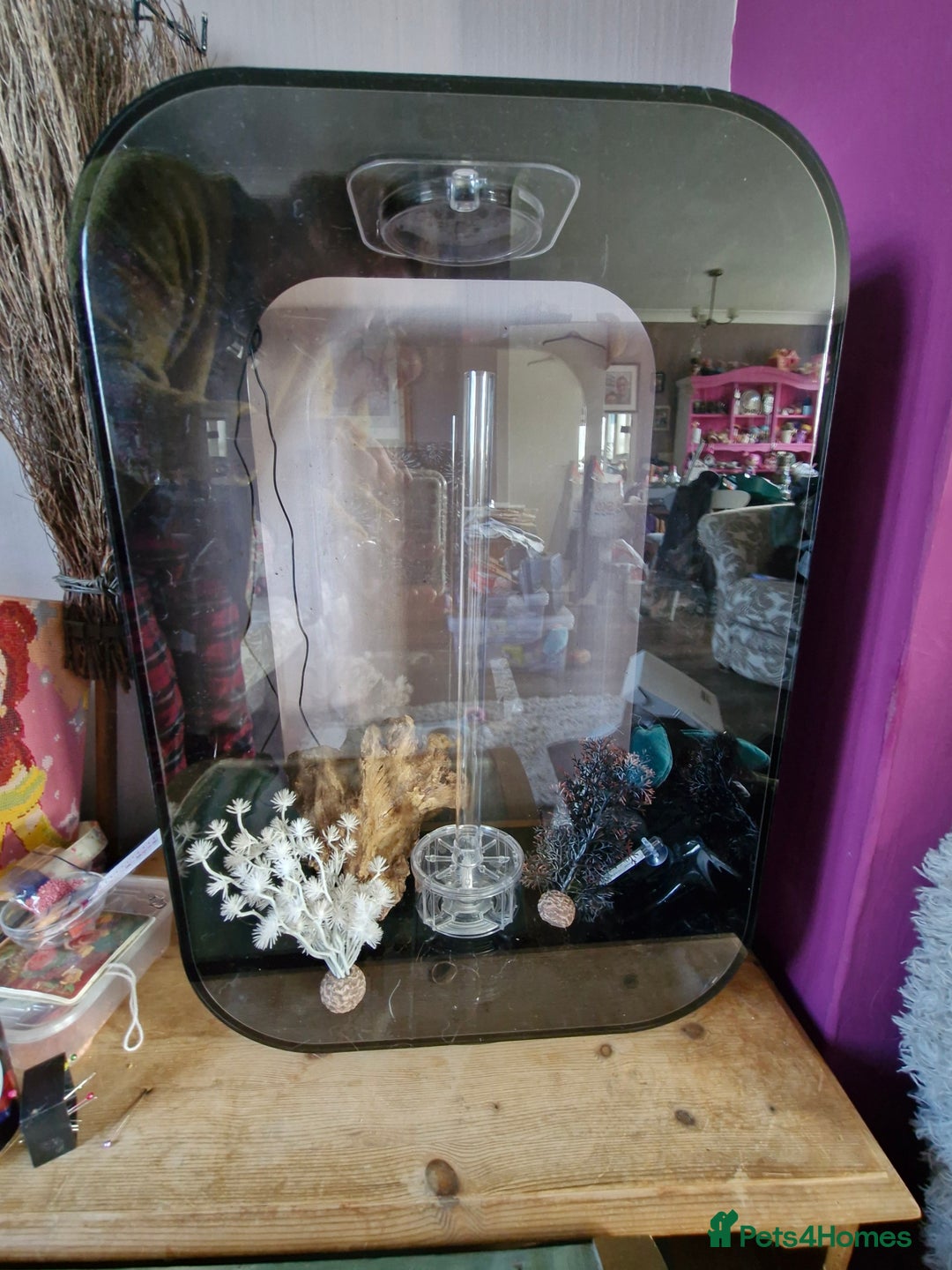 Other/Mixed Breed fish for sale: BNIB BiOrb Life 60L Tank with Accessories  - Image 2