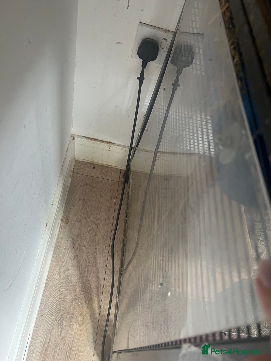 Chinchilla rodents for sale: 2 Female Chinchillas and Full set up!  - Image 16