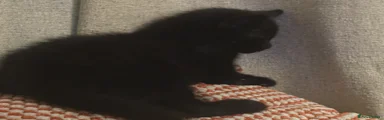 Jet