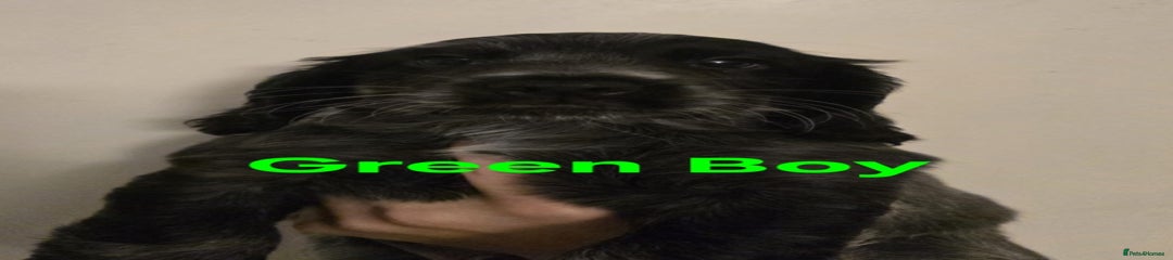 Green collar 