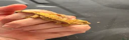 Gecko reptiles for sale: Crested gecko baby’s  - Advert 1
