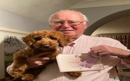 Miniature Poodle dogs for sale: 1 reserved 2 remaining ready 15th October  - Image 37