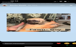 French Bulldog dogs for sale: KC French bulldog  - Image 3