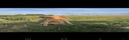 Labrador Retriever dogs for sale: Gorgeous Labrador puppies - Advert 23