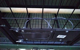 Parrots birds for sale: Breeding cages for parrots - Advert 4