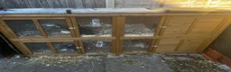 Rex rabbits for sale: Rex rabbits and hutches.  in Birmingham - Advert 3