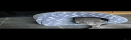 Russian Blue cats for sale: GCCF gorgeous kittens - Advert 9
