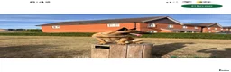 Belgian Shepherd Dog dogs for sale: Belgian malinois in Ilford - Advert 1