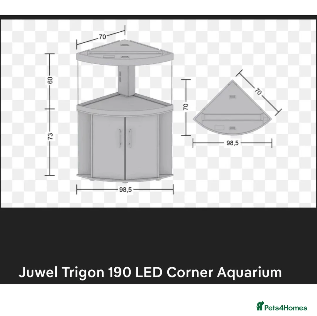 Other/Mixed Breed fish for sale: Juwel Trigon 190 Liters Complete setup in Watford - Advert 2