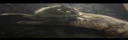 British Shorthair cats for sale: BSH KITTENS READY TO LEAVE 💓💙 - Advert 5