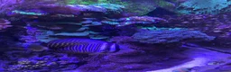 Goldfish fish for sale: reef marine fish tank  - Advert 32