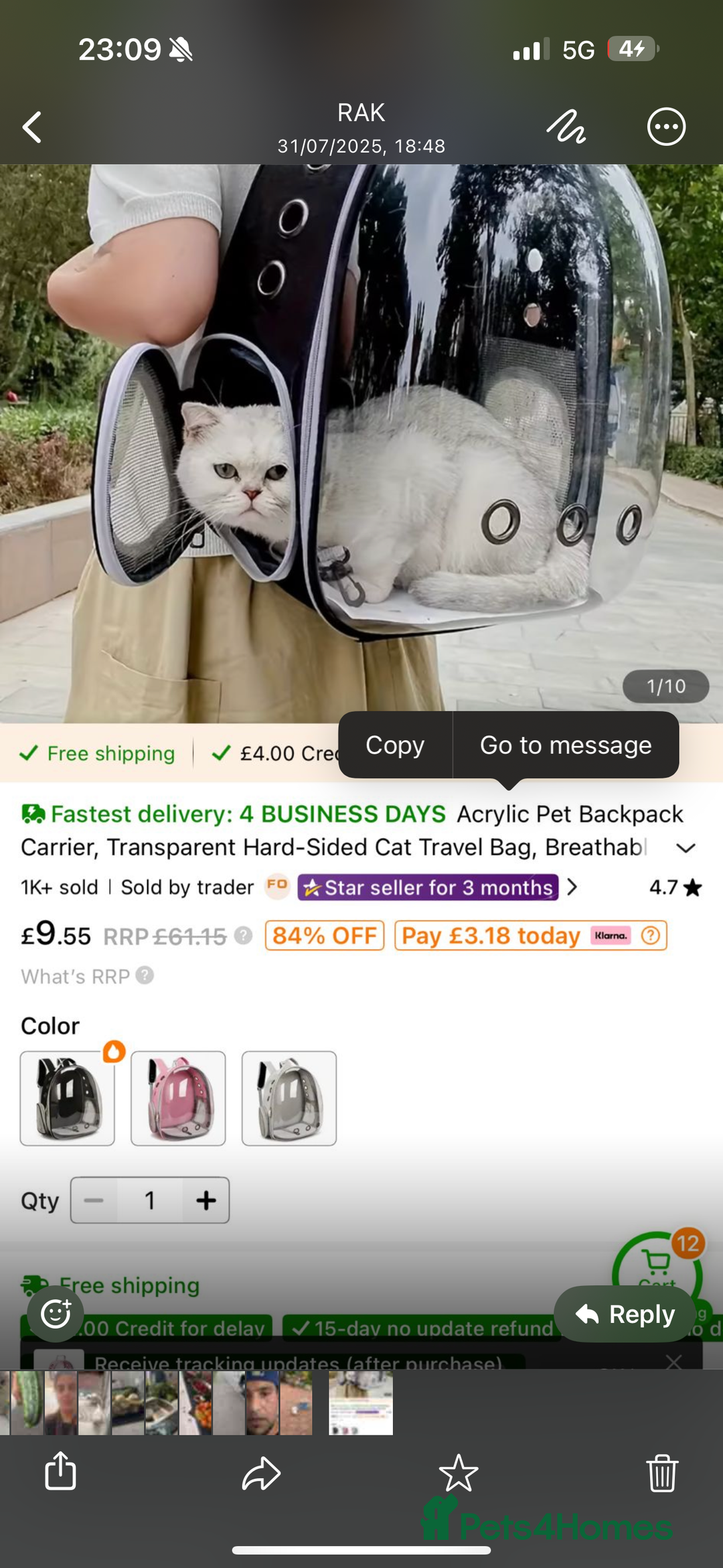 Persian cats for sale: Lovely Persian cats  - Image 28