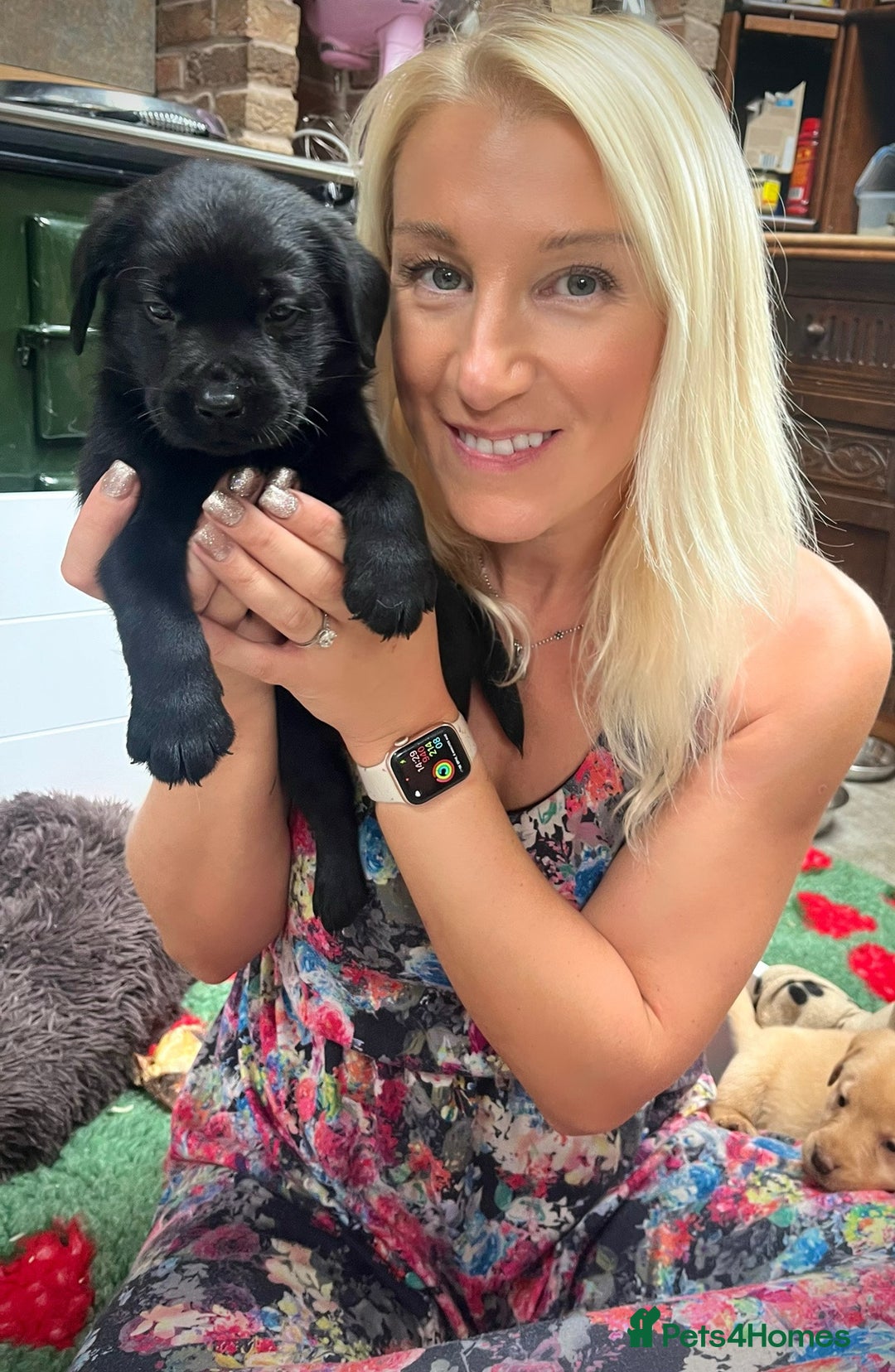 Labrador Retriever dogs for sale: 🐾 Ready 13th Oct. KC vet approved only 3 left 💕 - Image 7