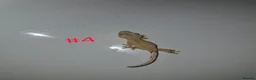 Gecko reptiles for sale: Crested Geckos  - Advert 4