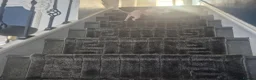 Sphynx cats for sale: I have two stunning kittens  - Advert 8