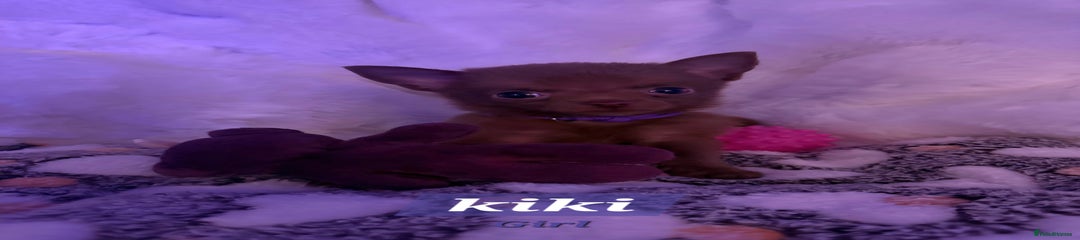 Kiki