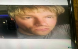 Mixed Breed dogs for sale: PLEASE BE AWARE OF THIS SCAMMER  - Image 1