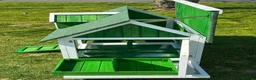 Chickens poultry for sale: Chicken coops with hens and rooster - Advert 7