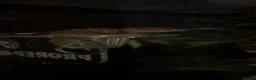 Gecko reptiles for sale: Crested Gecko in Poole - Advert 2