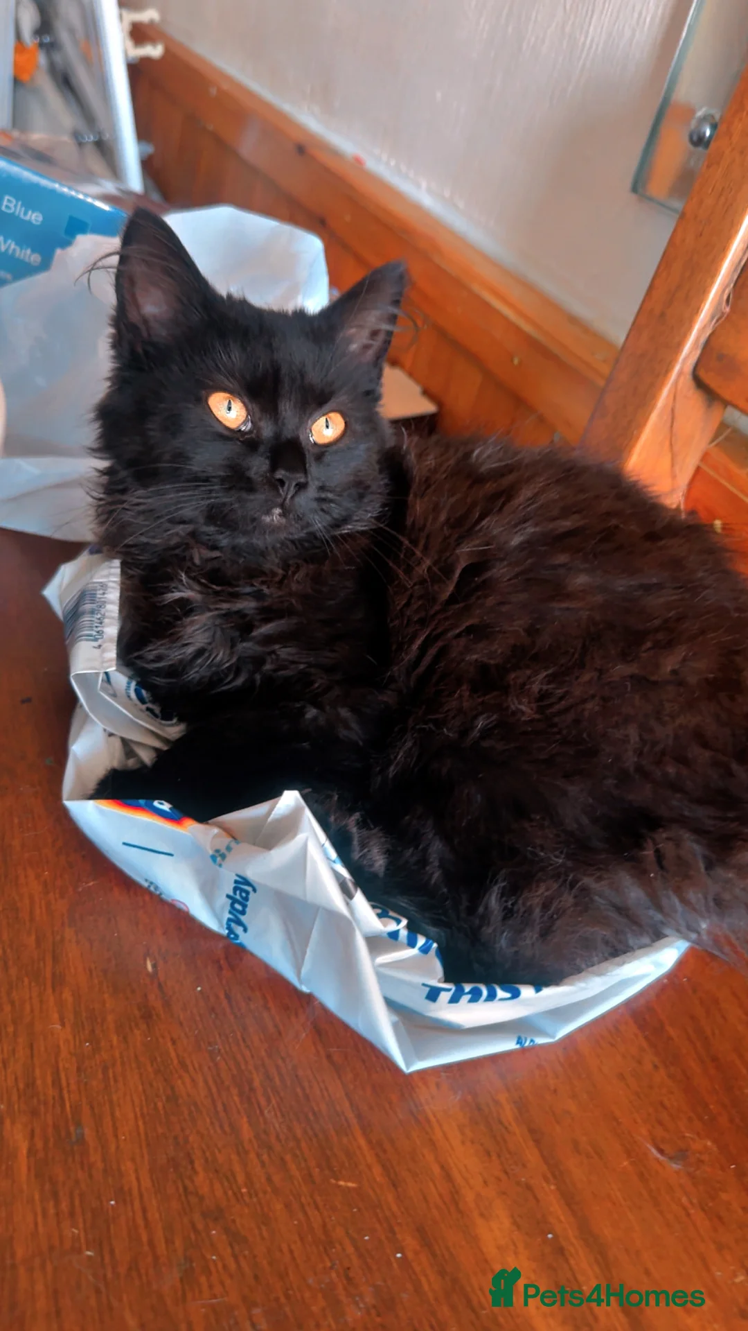 Gallery Image {{count}}