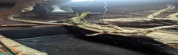 Monitor reptiles for sale: Cumingi water monitor in Barnsley - Advert 5