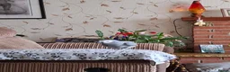 Parrots birds for sale: Harry  in Retford - Advert 6