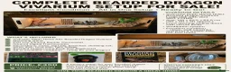 Bearded Dragon reptiles for sale: 4ft vivarium for bearded dragon or similar  in Keighley - Advert 1