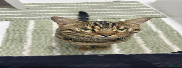 Zion