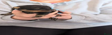 Puppy 8