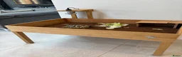 Tortoise reptiles for sale: Hermann’s Tortoise with Enclosure & Certificate in Weybridge - Advert 3