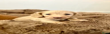 Boy 3 