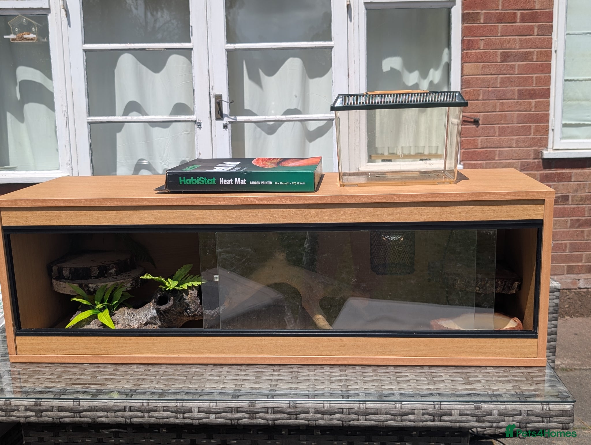 Bearded Dragon reptiles for sale: Vivarium set up only  in Solihull - Advert 1
