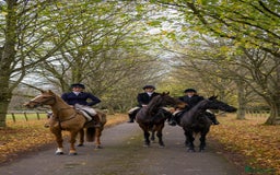English Thoroughbred horses for sale: Smart hunter for sale - perfect mother/daughter - Image 12