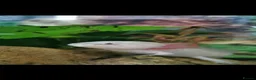 Axolotl reptiles for sale: 2 Axolotls plus set up in Stourbridge - Advert 2