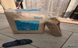 Hamster rodents for sale:  Hamster with Full Setup – Ready to Go! - Image 7
