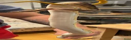 Snake reptiles for sale: Mixed Snakes - Advert 31