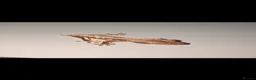 Gecko reptiles for sale: Lily White mixed Crest Geckos - Advert 4