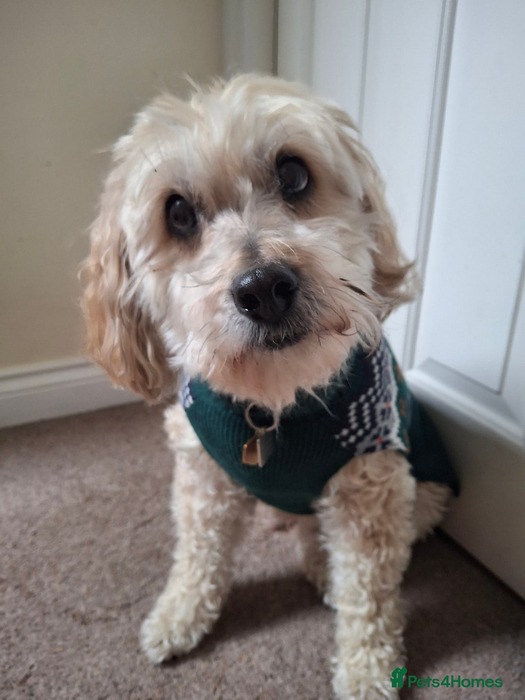 Gallery Image {{count}}