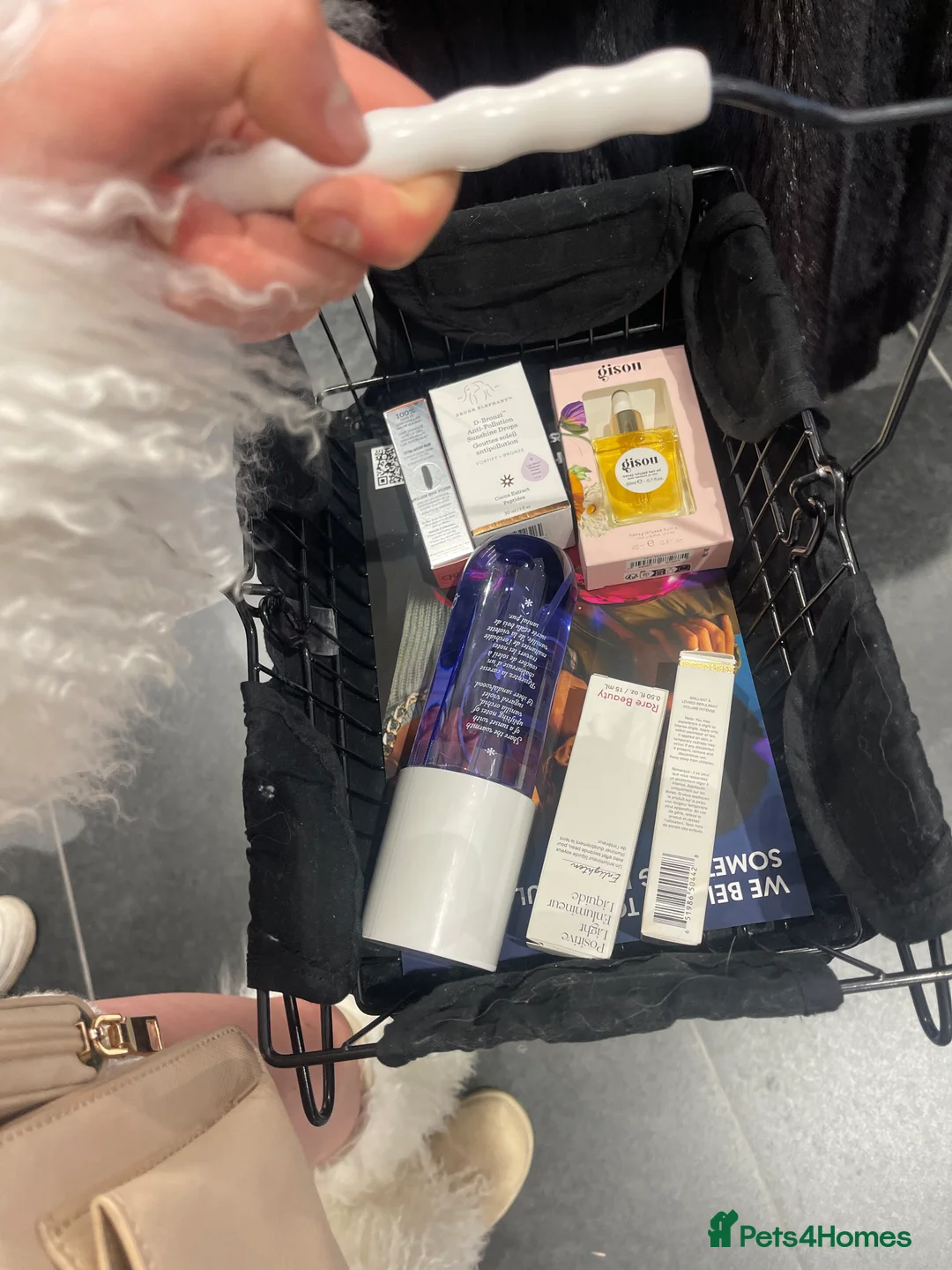 Mixed Breed rabbits for sale: Rabbits for sale!!!  - Advert 8