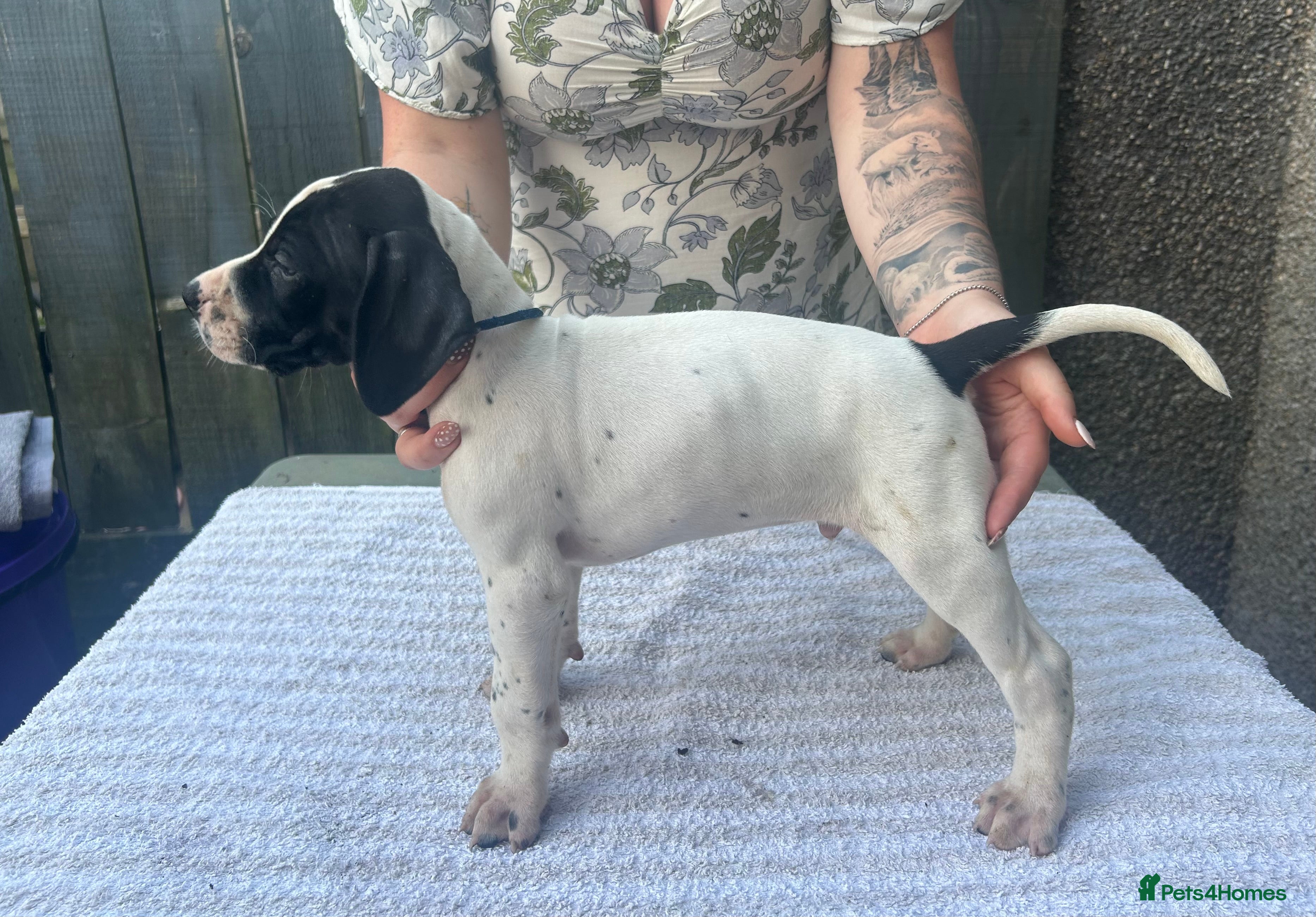 Navy Collar Boy