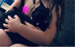 Mixed Breed cats for sale:  Free mixed cat named Misty - Image 1