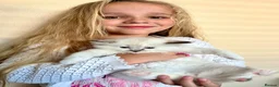 Ragdoll cats for sale: Stunning GCCF reg kittens, reputable breeder - Advert 10