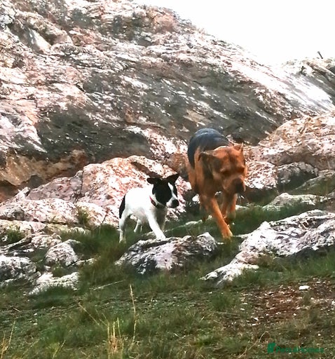 Gallery Image {{count}}