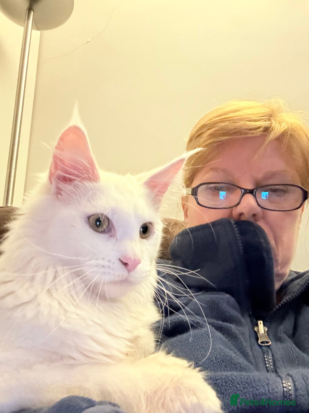 Gallery Image {{count}}