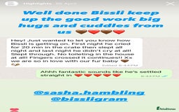 Cavapoo dogs for sale: Extensively Health Tested F1b Cavapoo Puppies  - Image 19