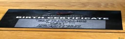 Boa Snake reptiles for sale: Common Boa constrictor  in Minehead - Advert 2