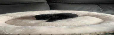 Male 3